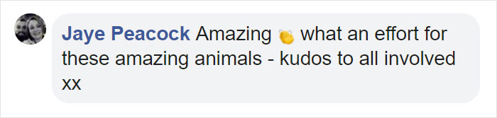 Two Beluga Whales Are Rescued From Performing As Show Animals In China, And Their Smiles Say It All Two Beluga Whales Are Rescued From Performing As Show Animals In China, And Their Smiles Say It All