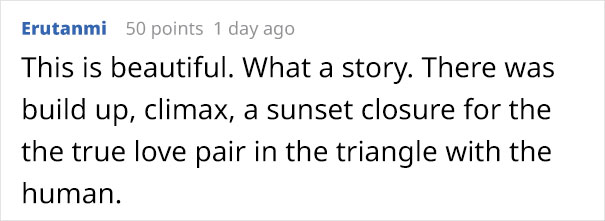 Guy Lends His Friend These Wedding-Appropriate Shoes, Hilarity Ensues