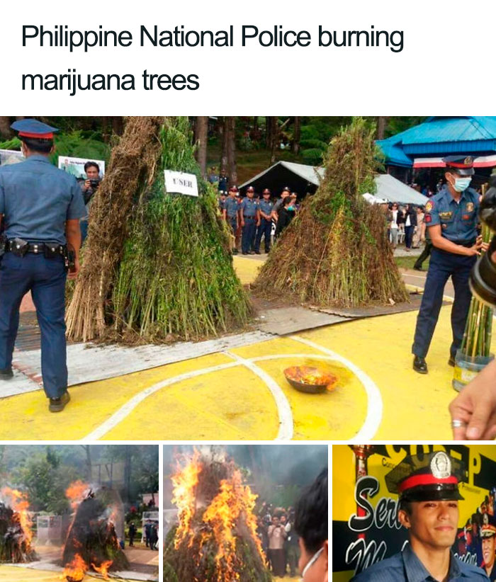 What Could Go Wrong If You Burn 3.3 Tons Of Weed In A Residential Area