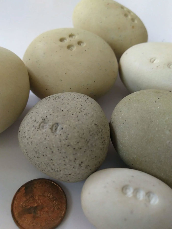 Found 14 Years Ago In A Hole In A Log On Dallas Road Beach In Victoria, Bc, Canada. A Mystery That Remains Unsolved