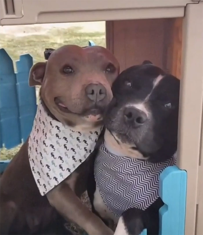 Check Out That Smile