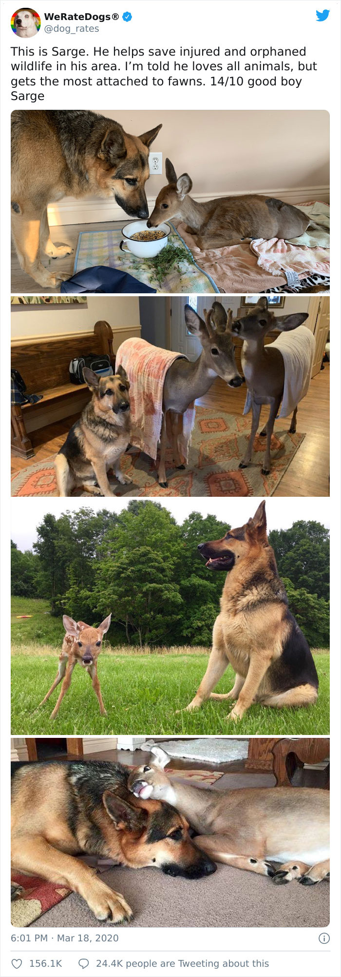 He Loves All Animals