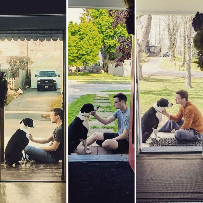 My Dog Lexi Is Turning 10 Soon. Through College, 3 Cities, 2 Apartments, And Our First Real House - Anywhere We Go, We Go Together