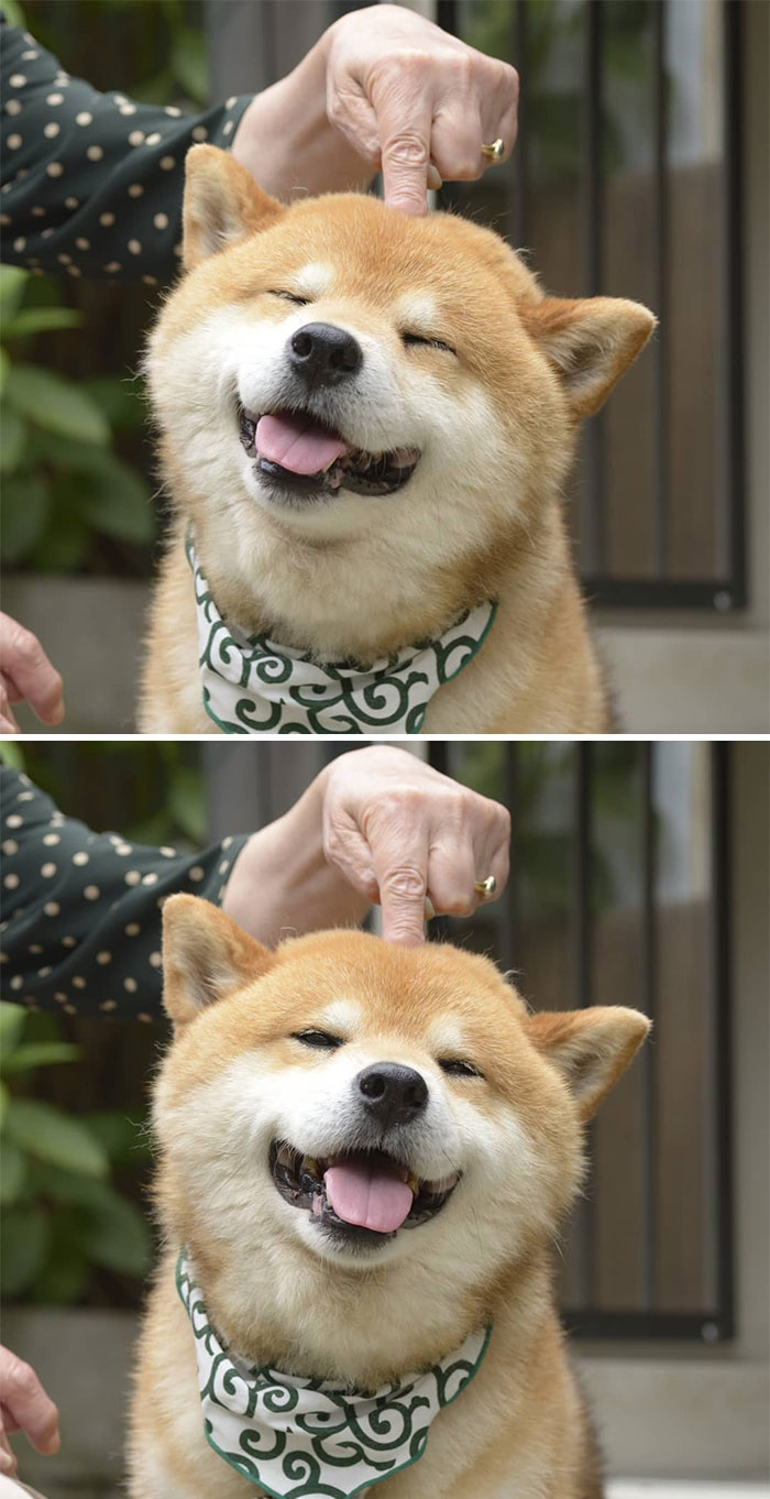 Push To Activate Smiles