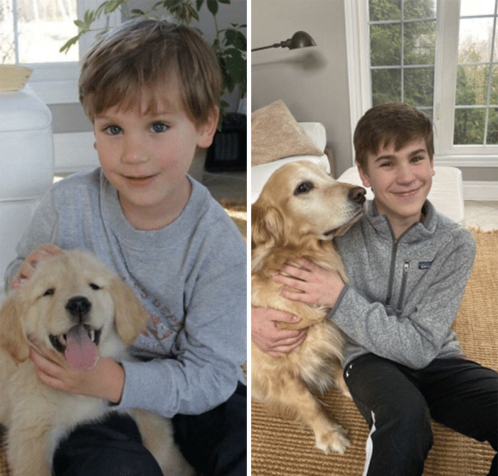 9 Years Spent With This Perfect Doggo! Hopefully Many More To Come!