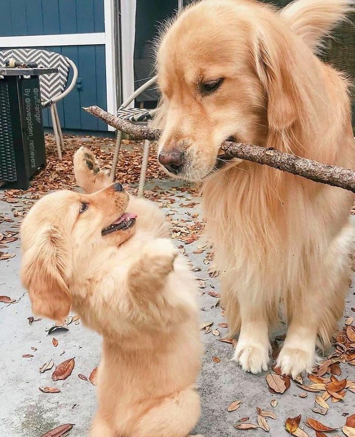 Branch Manager