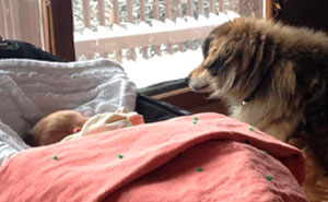 50 Uplifting Dog Posts To Make Your Day Better (New Pics)