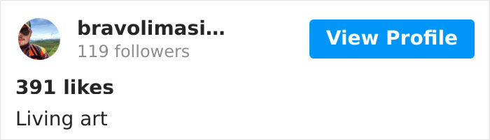 Photographer Finds A Surprise Visitor When Checking Pics On His Camera Trap Photographer Finds A Surprise Visitor When Checking Pics On His Camera Trap