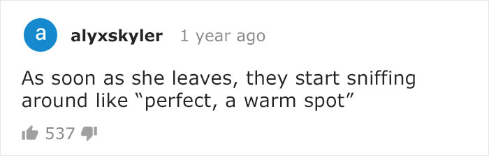 Adorable Video Of This Mama Wolf's Free Time Being Interrupted By Her Pups Is Capturing People's Hearts Adorable Video Of This Mama Wolf's Free Time Being Interrupted By Her Pups Is Capturing People's Hearts
