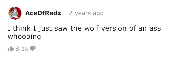 Adorable Video Of This Mama Wolf's Free Time Being Interrupted By Her Pups Is Capturing People's Hearts Adorable Video Of This Mama Wolf's Free Time Being Interrupted By Her Pups Is Capturing People's Hearts