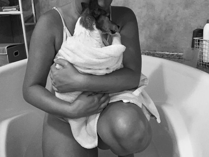 "Before You Get A Puppy, Imagine Yourself 10+ Years From Now": Woman's Brutally Honest Post About Getting A Dog Goes Viral