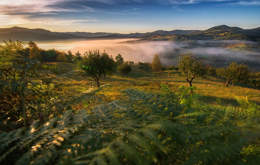 Summer-Landscapes-Photography-Romania-Maramures-Alex-Robciuc