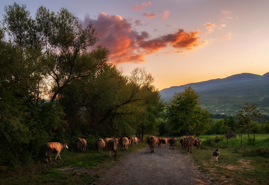 Summer-Landscapes-Photography-Romania-Maramures-Alex-Robciuc