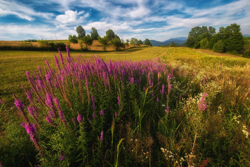 Summer-Landscapes-Photography-Romania-Maramures-Alex-Robciuc