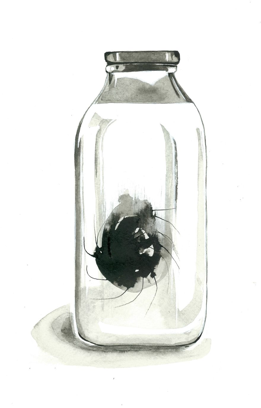 Aedyn Jak Art From His Books