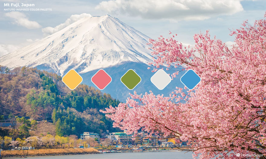 Interior Designers Create 6 Different Nature-Inspired Designs For One Living Room Interior Designers Create 6 Different Nature-Inspired Designs For One Living Room