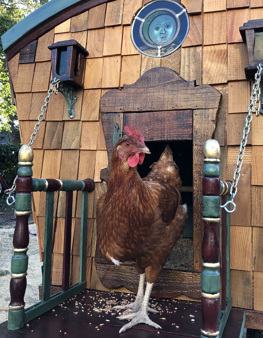I've Built This DIY Chicken Coop Out Of Up-Cycled Items During Quarantine (16 Pics)