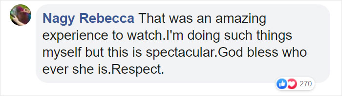 Woman Records This Stranger Leading A Parade Of Dogs, Cats, And Birds Down The Street, And The Scene Looks Magical Woman Records This Stranger Leading A Parade Of Dogs, Cats, And Birds Down The Street, And The Scene Looks Magical