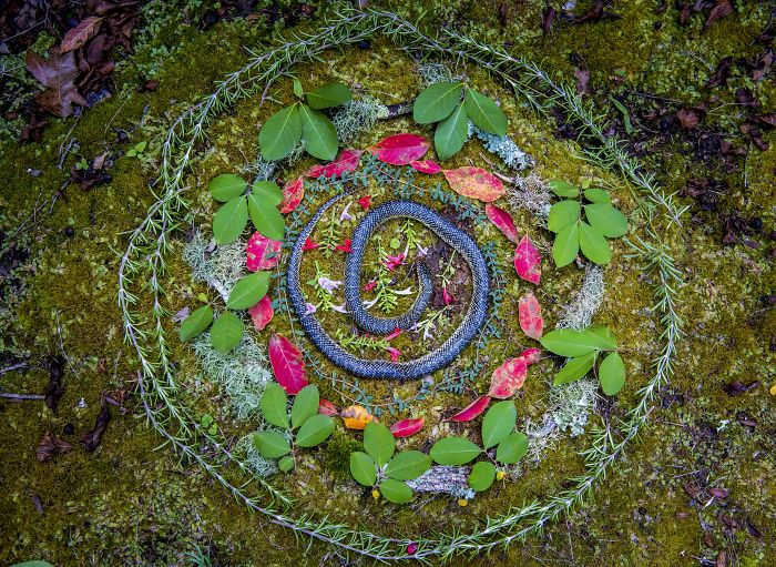 This Woman Creates Beautiful Memorials For Dead Animals She Comes Across And Here Are 24 Of The Most Heartbreaking Ones