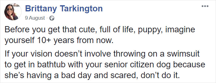 "Before You Get A Puppy, Imagine Yourself 10+ Years From Now": Woman's Brutally Honest Post About Getting A Dog Goes Viral