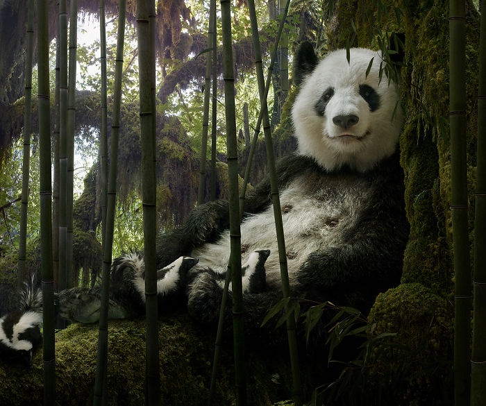 The Allegorical And Unusual Nature Of Simen Johan