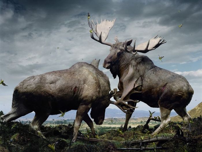 The Allegorical And Unusual Nature Of Simen Johan