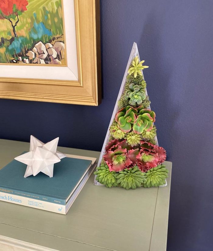 These 13-Inch Succulent Christmas Trees Are Ideal For Celebrating In A Small Space These 13-Inch Succulent Christmas Trees Are Ideal For Celebrating In A Small Space