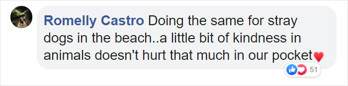 Woman Records This Stranger Leading A Parade Of Dogs, Cats, And Birds Down The Street, And The Scene Looks Magical Woman Records This Stranger Leading A Parade Of Dogs, Cats, And Birds Down The Street, And The Scene Looks Magical