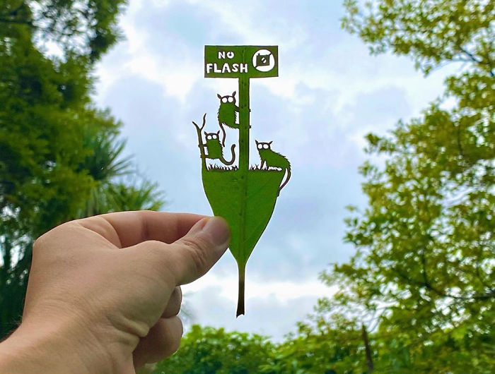 Hand holding a leaf with cute vignettes cut from leaf showing cats and a no flash sign against sky and trees.