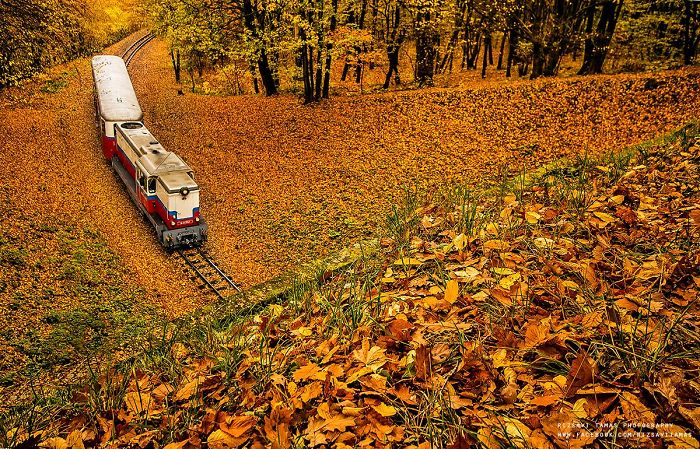 I Spent Five Years With Taking Train Pictures At The Most Exciting Places