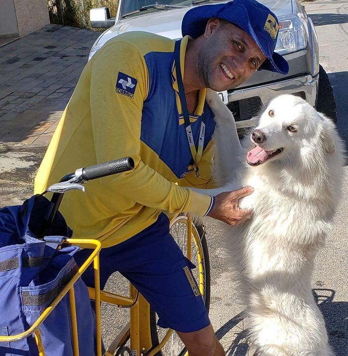 This Brazilian Postman Breaks The Stereotype That Dogs Don't Like Postmen (120 Pics)