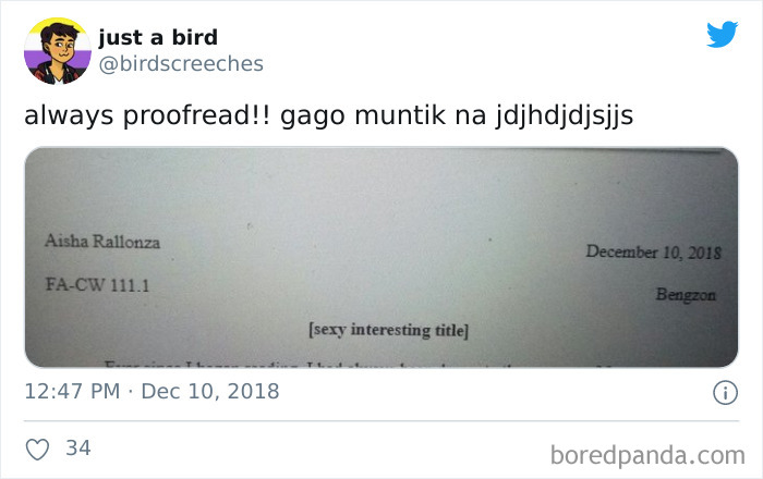 Funny-Student-Essay-Proofreading-Fails