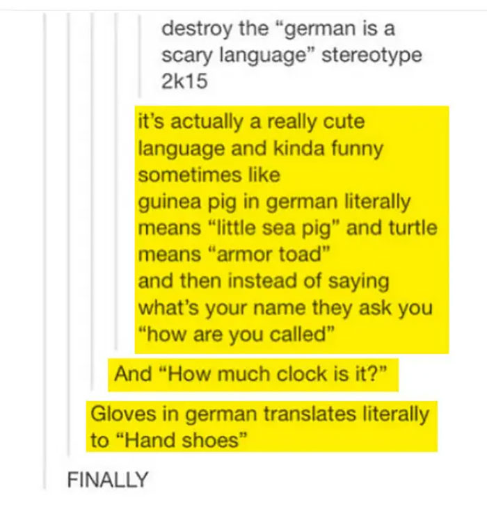 When German Language Wasn't Scary But Cute