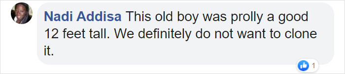 Perfectly Preserved Remains Of A 40,000-Year-Old Ice Age Cave Bear Were Just Discovered In Siberia Perfectly Preserved Remains Of A 40,000-Year-Old Ice Age Cave Bear Were Just Discovered In Siberia