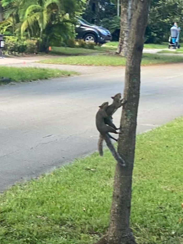 I Took This Week During My Morning Walk