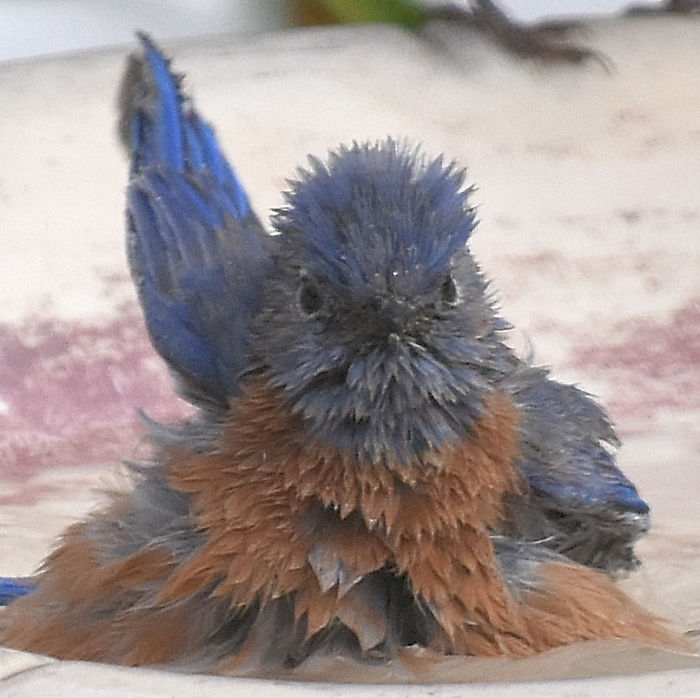 "Ah, Ha, Ha, Ha, Stayin' Alive, Stayin' Alive..."