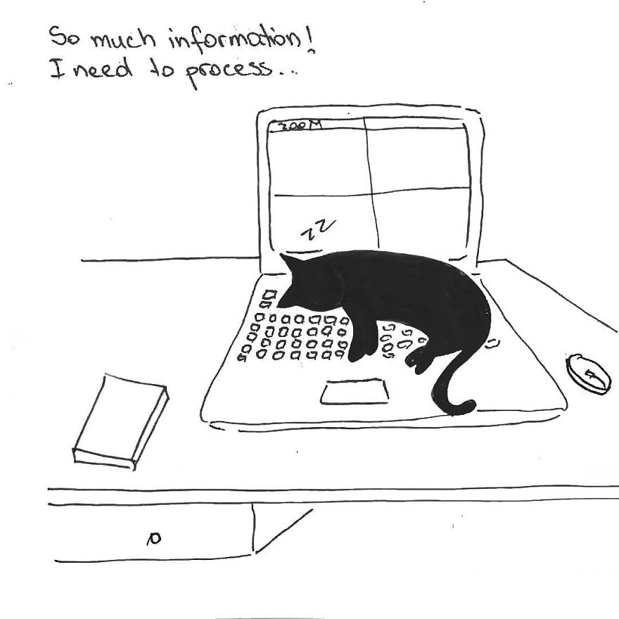 Owner Illustrates The Boring Days His Cat Lived In Quarantine In Fun Comics