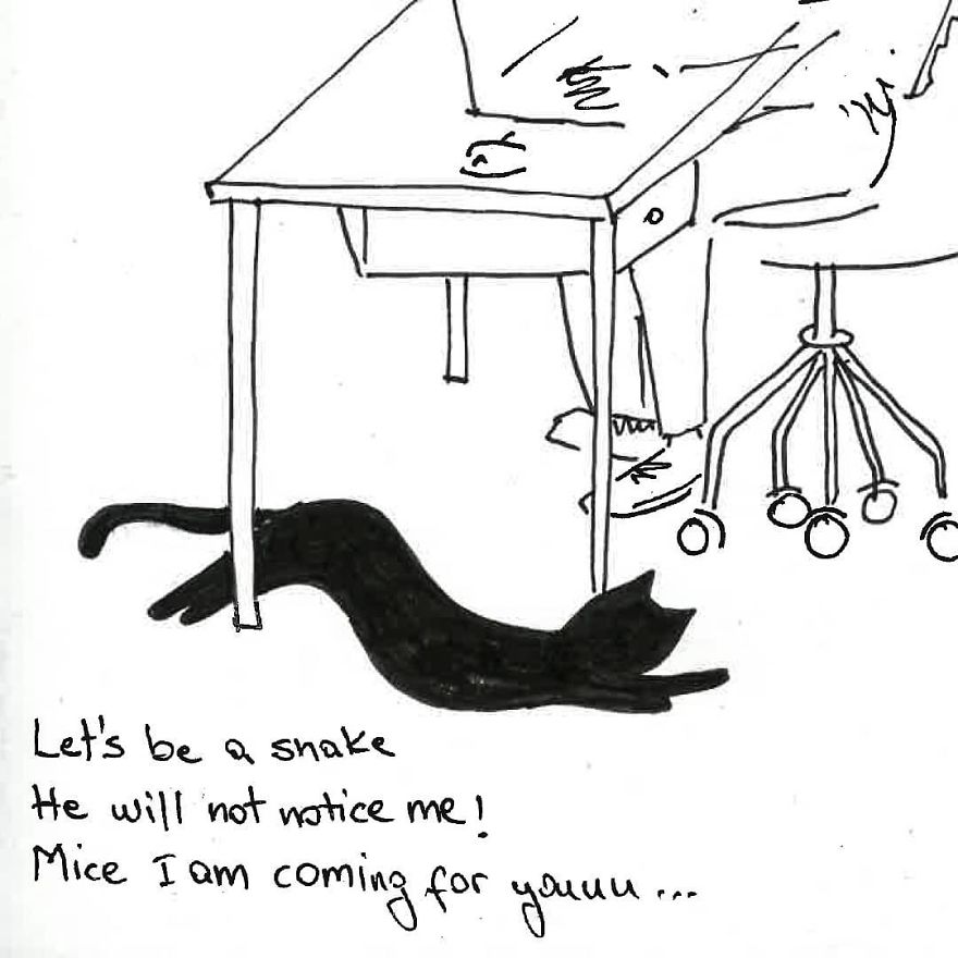 Owner Illustrates The Boring Days His Cat Lived In Quarantine In Fun Comics