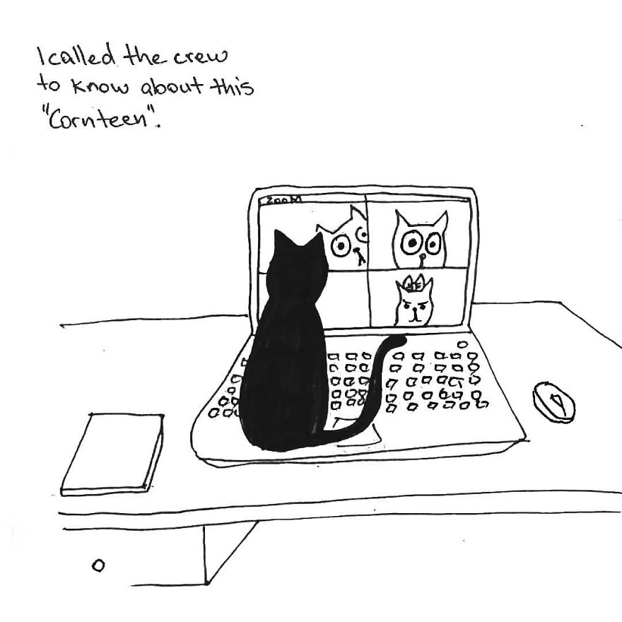Owner Illustrates The Boring Days His Cat Lived In Quarantine In Fun Comics