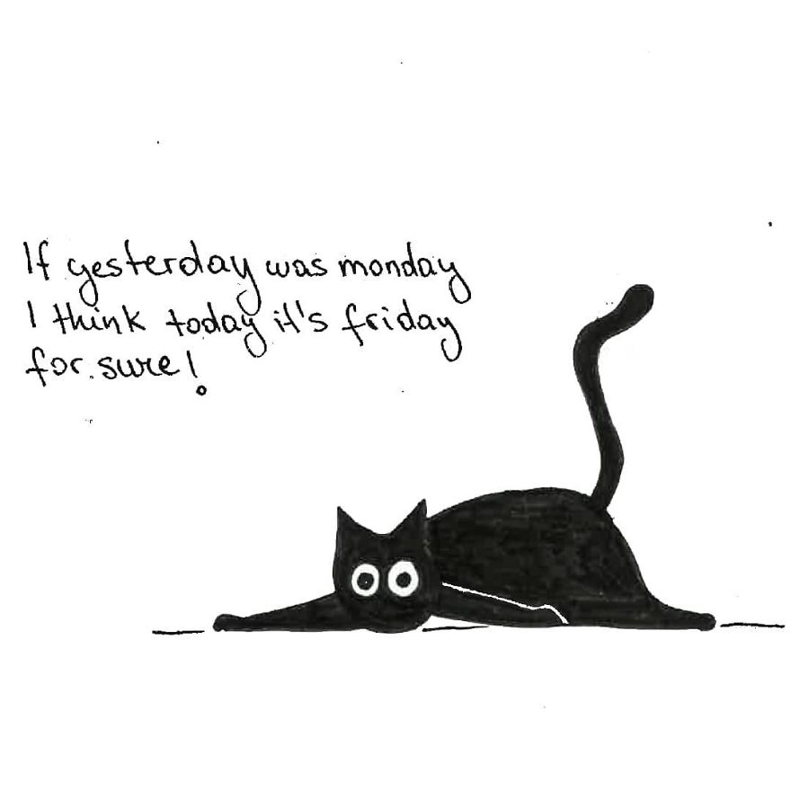 Owner Illustrates The Boring Days His Cat Lived In Quarantine In Fun Comics