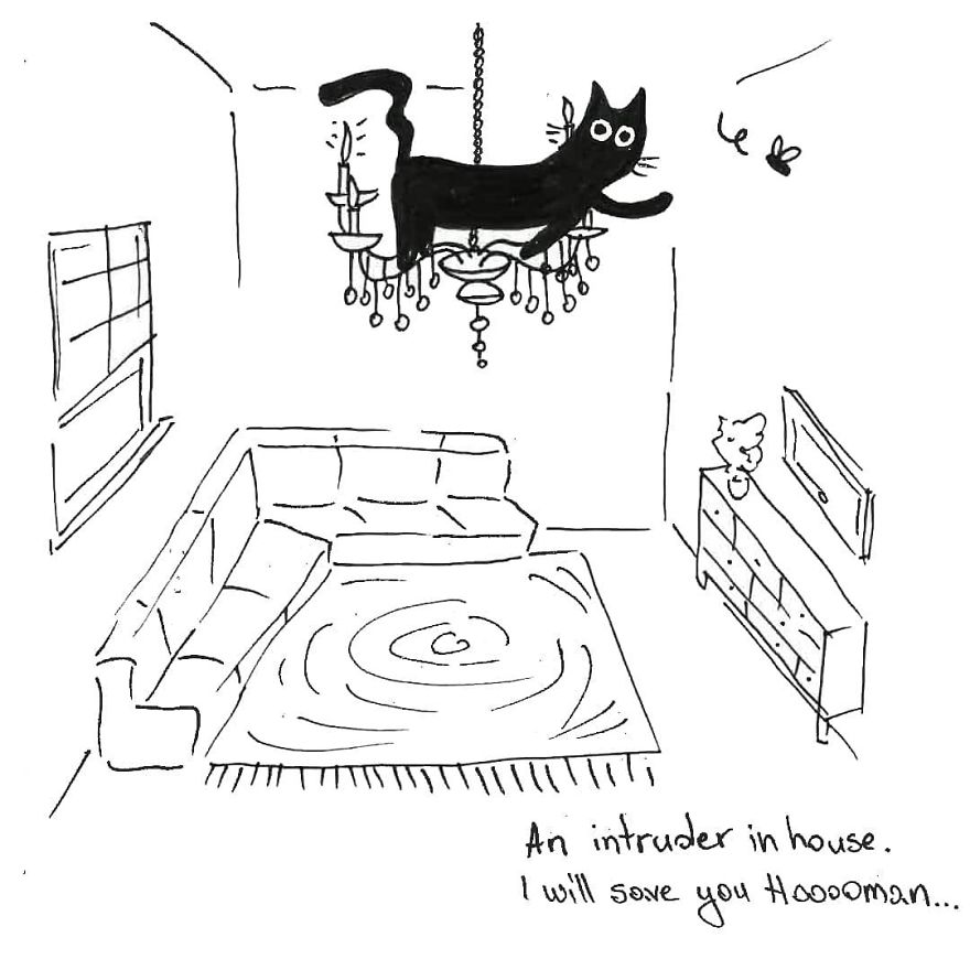 Owner Illustrates The Boring Days His Cat Lived In Quarantine In Fun Comics