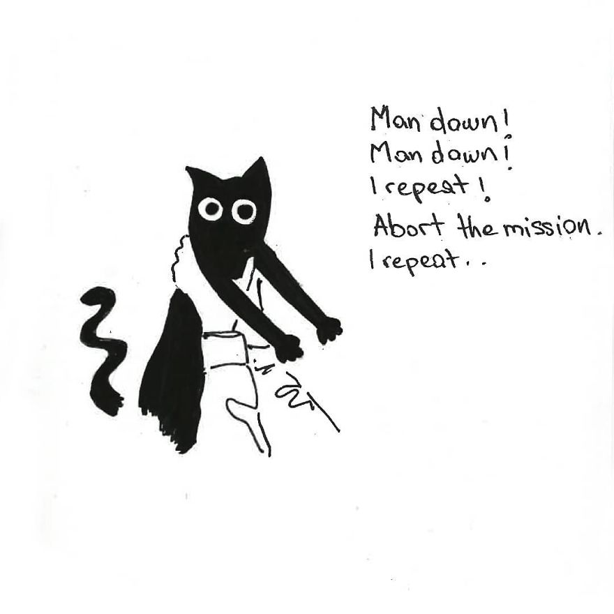 Owner Illustrates The Boring Days His Cat Lived In Quarantine In Fun Comics