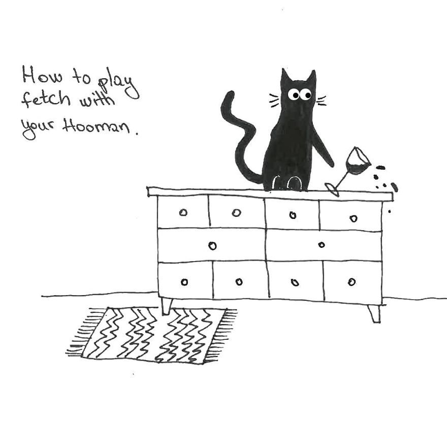 Owner Illustrates The Boring Days His Cat Lived In Quarantine In Fun Comics