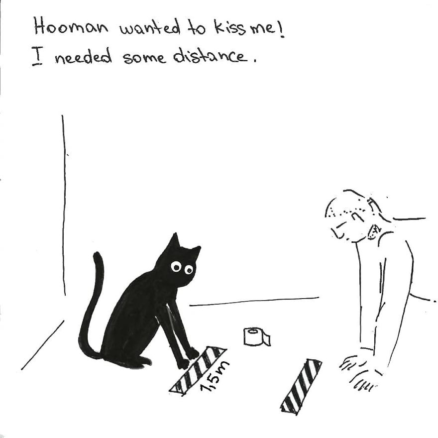 Owner Illustrates The Boring Days His Cat Lived In Quarantine In Fun Comics