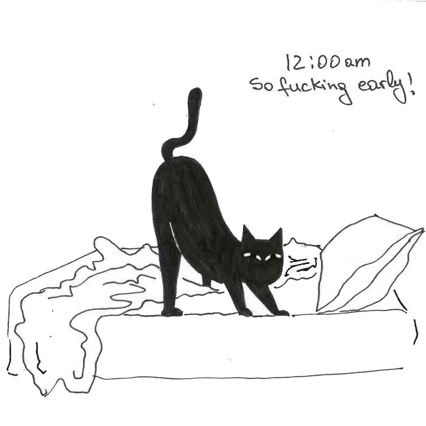 Owner Illustrates The Boring Days His Cat Lived In Quarantine In Fun Comics