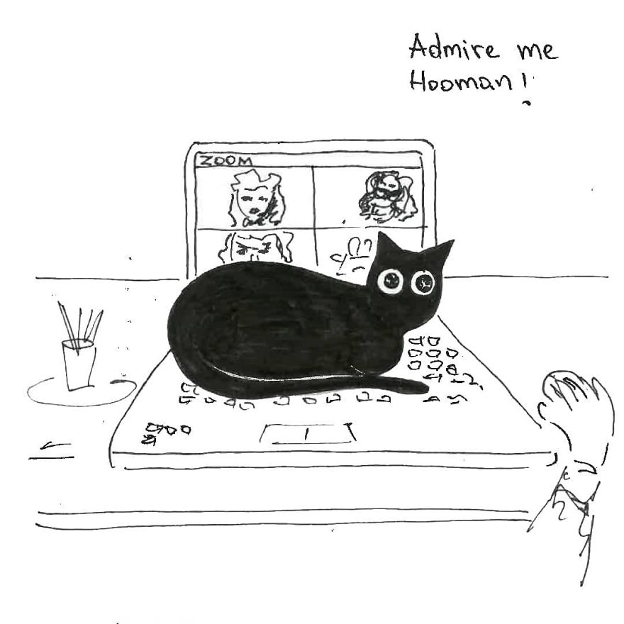 Owner Illustrates The Boring Days His Cat Lived In Quarantine In Fun Comics