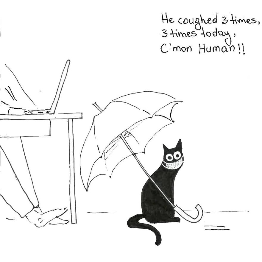 Owner Illustrates The Boring Days His Cat Lived In Quarantine In Fun Comics