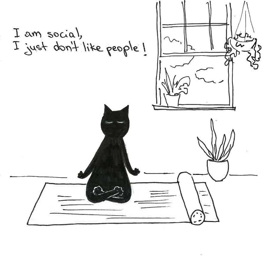 Owner Illustrates The Boring Days His Cat Lived In Quarantine In Fun Comics