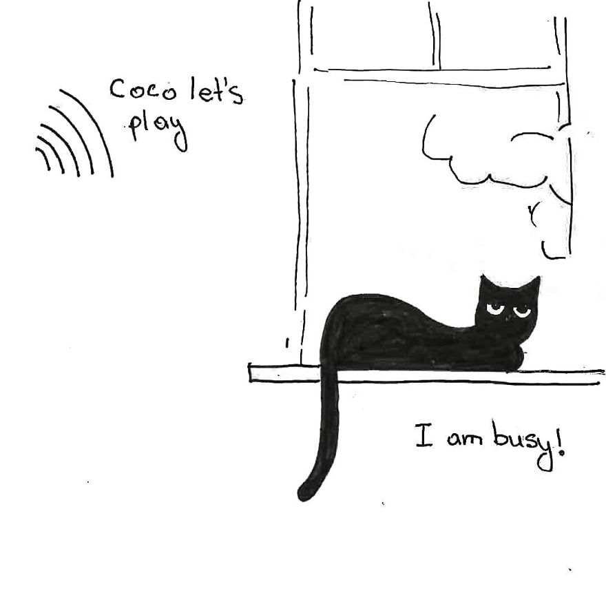 Owner Illustrates The Boring Days His Cat Lived In Quarantine In Fun Comics