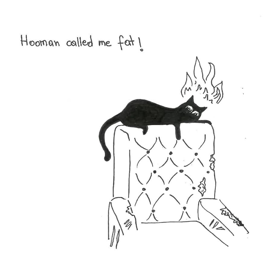 Owner Illustrates The Boring Days His Cat Lived In Quarantine In Fun Comics